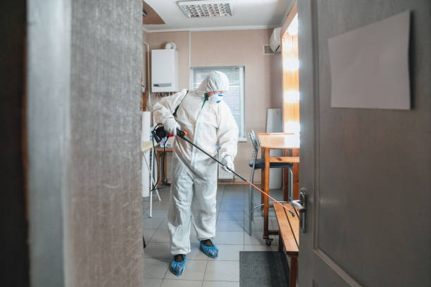 Best Emergency Mold Remediation  in Burton, MI
