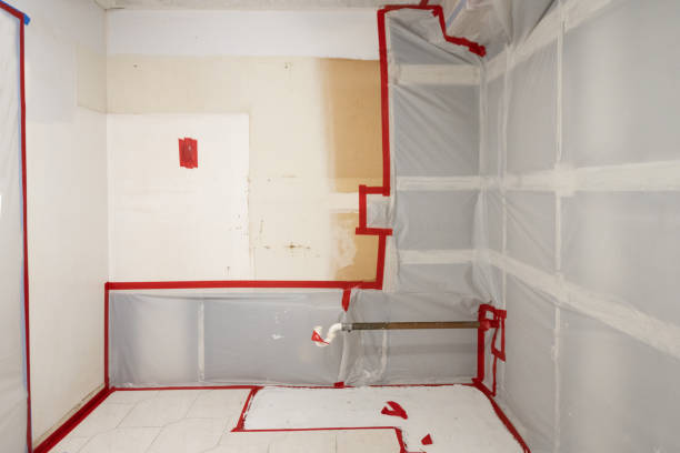 Best Post-Remediation Verification Testing  in Burton, MI