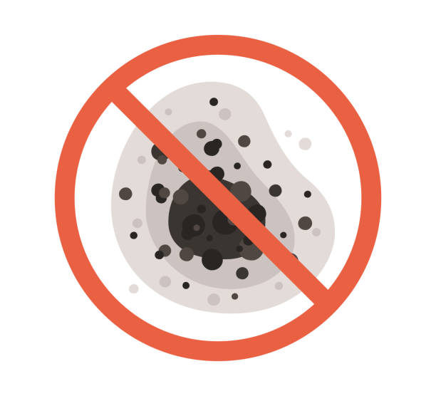 Best Emergency Mold Remediation  in Burton, MI