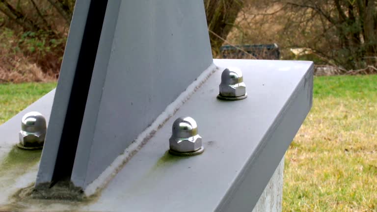 Best Attic Mold Removal  in Burton, MI